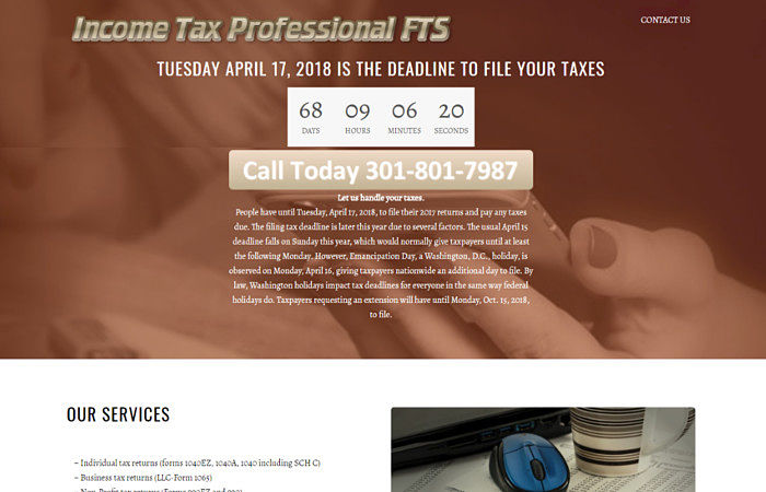 Income Tax Professional – FTS